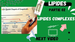 📣4 Les Lipides Partie 02  Les Lipides COMPLEXES اقوى شرح لللبيدات😍 LIPIDSMEDECINE BIOLOGY [upl. by Earla995]