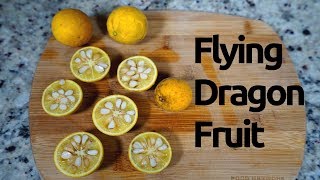 Wild Edibles Flying Dragon Fruit Trifoliate Orange [upl. by Huberman]