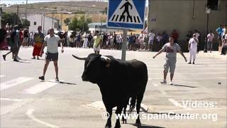 Encierro Toros y Vaquilla en Peñas de San Pedro [upl. by Armillda]