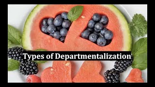 Types of Departmentalization [upl. by Andryc]