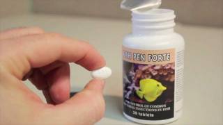 Fish Pen Forte Penicillin 500 mg Fish Antibiotic [upl. by Pember]