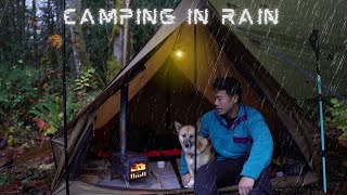 Rain Camping in a Hot Tent  Chill Autumn Camping with my Dog [upl. by Edmonds141]