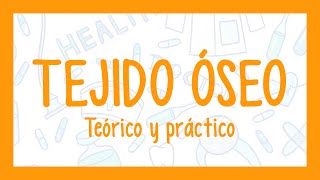 TEJIDO ÓSEO  ¡Fácil explicación Histología [upl. by Tomkin]