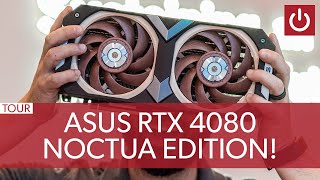 Another Asus X Noctua GPU Is Coming [upl. by Saied910]