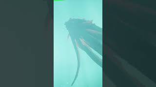 Sea of thieves kraken close up [upl. by Demb]