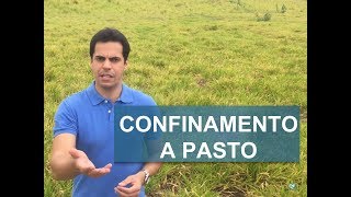 COMO FAZER CONFINAMENTO A PASTO [upl. by Noe]