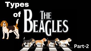 beagles part2 beagle funnybeatsync dogs doglover [upl. by Katti477]