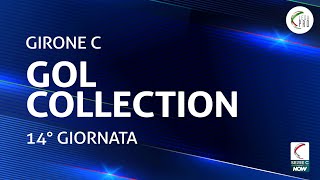 La Gol Collection della 14° giornata del Girone C [upl. by Deery]