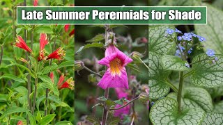 10 Late Summer Perennials for ShadePart Shade Garden Spot  August September Blooms [upl. by Amanda]