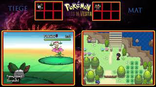 Pokémon Chaos in Vesita SplitScreen 1 [upl. by Chandra46]