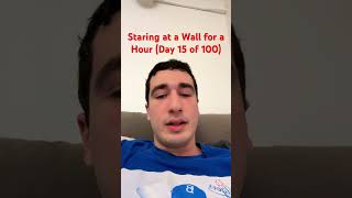 Staring at a Wall for a Hour Day 15 of 100 funny shorts 100hours 100daychallenge comedy [upl. by Annaeoj416]