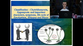 Chytridiomycota amp Zygomycota  Symptoms and life cycle of Synchytrium Rhizopus amp Mucor [upl. by Navak867]