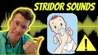 Doctor explains Stridor with real examples of sounds plus causes treatment and warning signs [upl. by Aital]