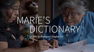 Maries Dictionary [upl. by Frasco538]