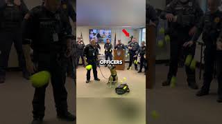 🚔🐾 Retiring Police Dog Gets the Ultimate Surprise 🎉 [upl. by George]