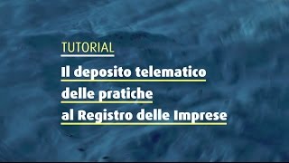 Il deposito telematico delle pratiche al Registro delle Imprese [upl. by Bradshaw]