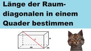 Länge der Raumdiagonalen in einem Quader bestimmen mit Buchstaben [upl. by Yelyac]