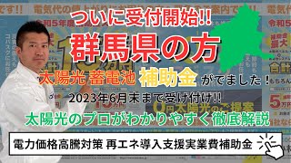 【太陽光 蓄電池 補助金】群馬県の皆さん！待ちに待った太陽光蓄電池の補助金がでました！太陽光のプロが徹底解説！ [upl. by Nayr]