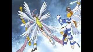 Digimon AMV  Fighter [upl. by Hill]