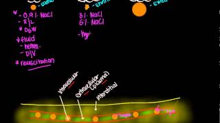 IV fluid tonicity Isotonic solutions Hypotonic solutions and Hypertonic solutions [upl. by Ahsitahs]