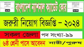 ষষ্ঠ শ্রেণি পাশে বাংলাদেশ ন্যাশনাল ক্যাডেট কোর নিয়োগ বিজ্ঞপ্তি ২০২৪ I bncc job circular 2024 [upl. by Latimore]