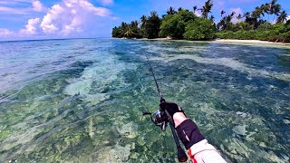 Flats Fishing Tropical Beach In The Maldives [upl. by Lyndy397]