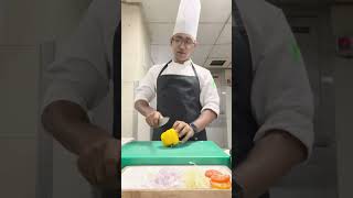 Abhishek Baghel  Culinary Arts  USA  J1  2024 [upl. by Aydiv]