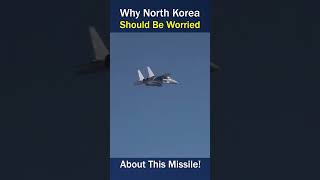 South Koreas New Taurus Missile Just Got Tested—And Its Wild [upl. by Sailesh606]