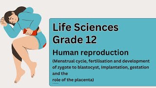 Life Sciences grade 12Human reproduction Menstrual cycle fertilisation and development of zygote [upl. by Ehudd]