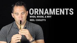 Tin Whistle Lesson  Ornaments When Where amp Why Cooleys Reel [upl. by Newol]