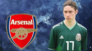 MARCELO FLORES  ARSENAL  SKILLS MÉXICO ● DEBUT ASSISTANCE  BEST MATCHES PLAYED AND GOALS ◀️ [upl. by Lonier259]