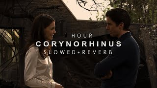 Batman Begins  Corynorhinus  1 HOUR  Slowed  Reverb [upl. by Carlo374]