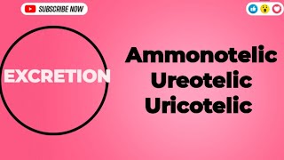 Excretion Ammonotelic Ureotelic and Uricotelic Excretion Ammonotelic urea uricacid biology [upl. by Erdnoed]