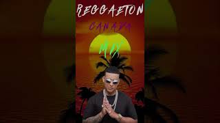 REGGAETON MUSICA 2024 🌴🌴 MUSICA 2024  MIX CANCIONES REGGAETON 2024 [upl. by Eicaj]