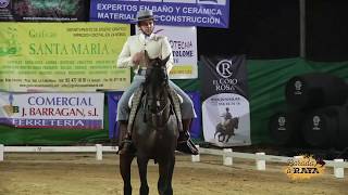 Amador Martín López con Libertino en el Campeonato de Andalucía 2017 [upl. by Allemrac]