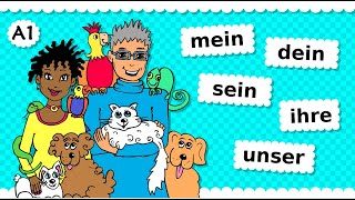 🐶 Deutsch A1 🐰 Possessivpronomen 🐦 mein  dein  sein  ihr  unser  euer etc Thema Haustiere 🐢 [upl. by Nnylarac]