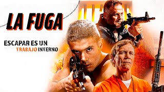 La Fuga 🏃  Película de Acción en Español Latino  Louis Mandylor Kristos Andrews [upl. by Anahsak]