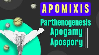 Apomixis and Polyembryony class 12 । BotanyTv [upl. by Jacobba385]