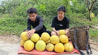 The homeless boy and the poor girl install locks on their house and pick grapefruits to sell [upl. by Imotih922]