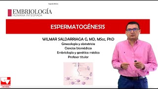 Espermatogénesis Capitulo 2 Embriologia Humana Integrada [upl. by Cheshire]