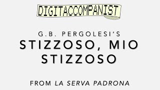 Stizzoso mio stizzoso – Digital Accompaniment [upl. by Ataynek880]