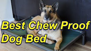 Favorite Chew Proof Dog Bed [upl. by Loftis]