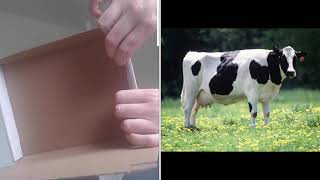 How to fold Covid19 PCR Test Box assembly for postboxmailbox Covid19 CovidPCRTest [upl. by Sualokcin477]