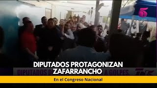 Diputados protagonizan zafarrancho en el Congreso Nacional [upl. by Elianora]