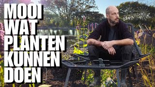 Planten rondom een vijver maken het af Mooie planten voor biodiversiteit [upl. by Stent739]