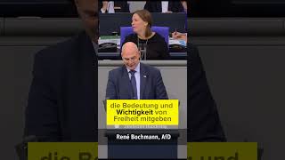 Führerschein Desaster afd deutscherbundestag bundesregierung [upl. by Alastair17]