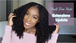 Heat Free Hair  Extensions Update  TheLifestyleLuxe [upl. by Kobe]