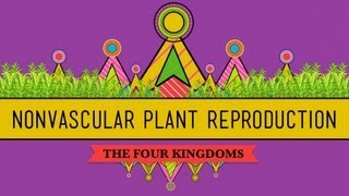 The Reproductive Lives of Nonvascular Plants Alternation of Generations  Crash Course Biology 36 [upl. by Ocimad]