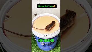 How this simple rat trap got 100 million views 🐀🪣 [upl. by Dix]