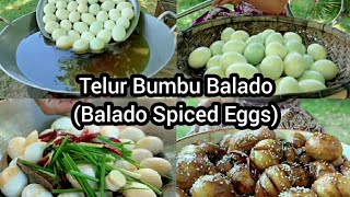 Telur bumbu Balado  Balado spiced Eggs  Masak Gabut Part 12  Cook Unclear Part 12 [upl. by Ennalyrehc]